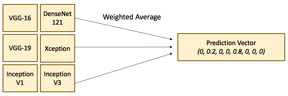 Full Image Ensemble Diagram